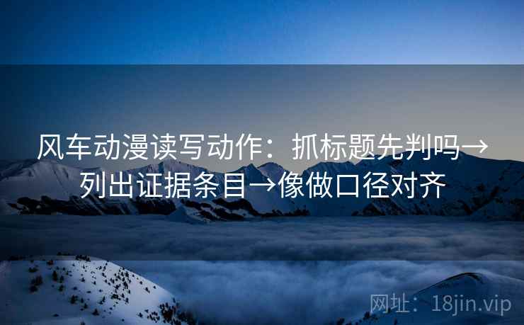 风车动漫读写动作：抓标题先判吗→列出证据条目→像做口径对齐